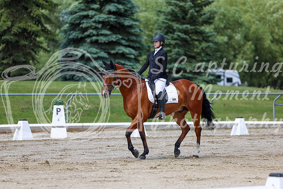 2025 - Dressage Festival - Saturday July 5th - 07296