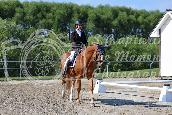 2025 - Dressage Festival - Saturday July 5th - 01642
