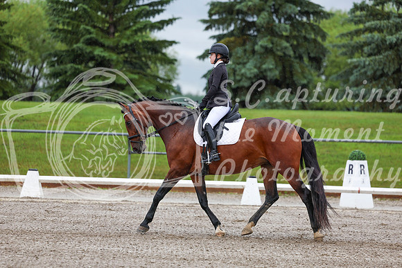 2025 - Dressage Festival - Sunday July 6th - 00841