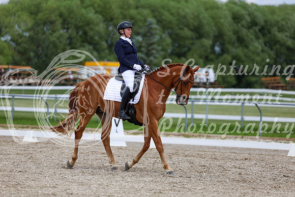 2025 - Dressage Festival - Saturday July 5th - 12473