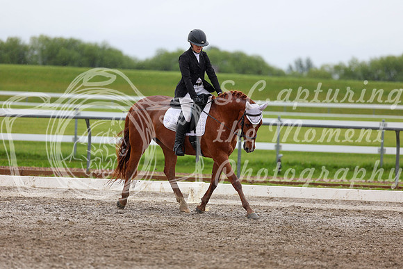 2025 - Dressage Festival - Sunday July 6th - 06172