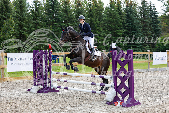 2025 - Haylee - Picco Horse Show - Sunday July 27th 02842