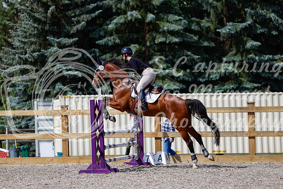 2025 - Haylee - Picco Horse Show - Thursday July 24th 02235