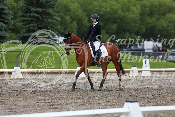 2025 - Dressage Festival - Sunday July 6th - 07249