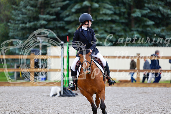2025 - Haylee - Picco Horse Show - Sunday July 27th 00504