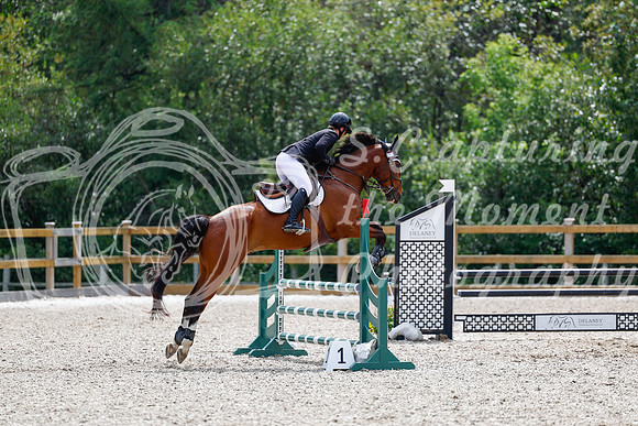 2025 - Haylee - Picco Horse Show - Sunday July 27th 03936