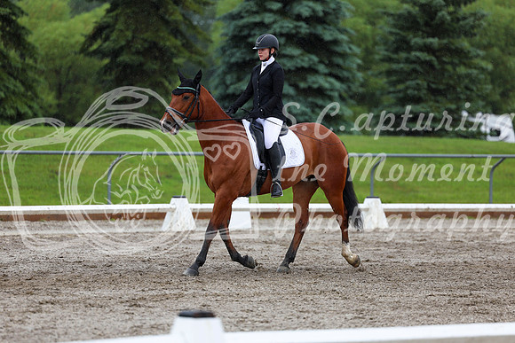2025 - Dressage Festival - Sunday July 6th - 07258