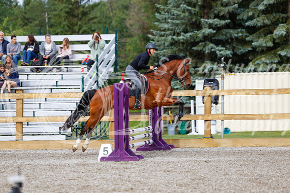 2025 - Haylee - Picco Horse Show - Friay July 25th 00623