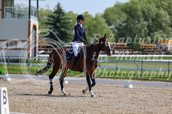 2025 - Dressage Festival - Saturday July 5th - 03562