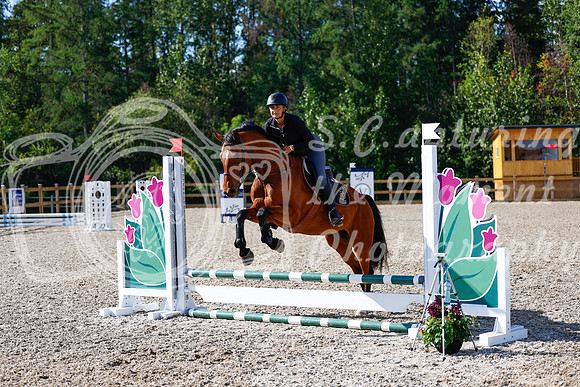 2025 - Haylee - Picco Horse Show - Thursday July 24th 00875