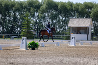 2025 - Dressage Festival - Saturday July 5th - 02358