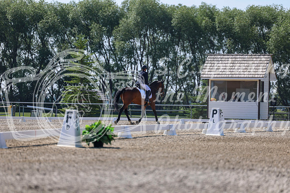 2025 - Dressage Festival - Saturday July 5th - 02358