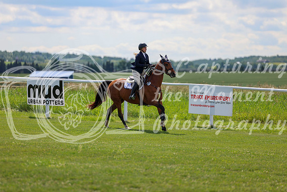 2025 - Shea - Teesdale - Friday July 25th - 05059