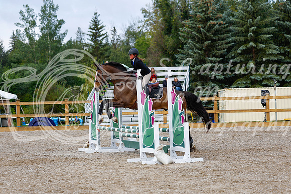2025 - Haylee - Picco Horse Show - Sunday July 27th 02302