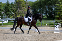 2025 - Dressage Festival - Saturday July 5th - 15235
