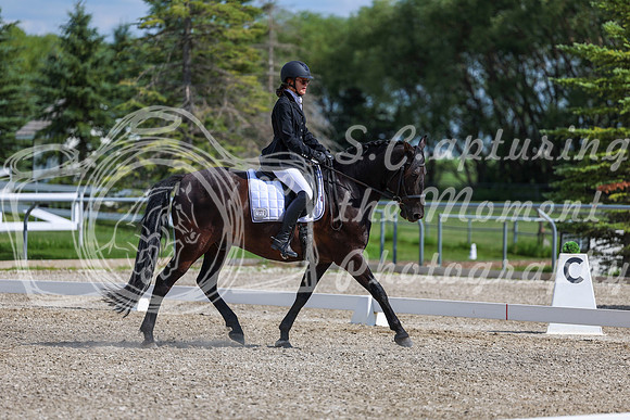 2025 - Dressage Festival - Saturday July 5th - 15235