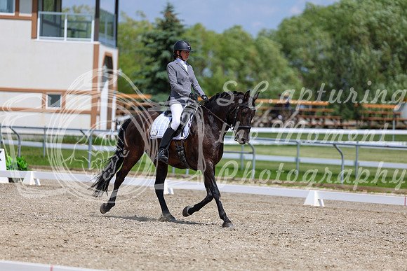 2025 - Dressage Festival - Saturday July 5th - 10297