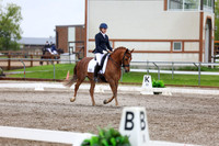 2025 - Dressage Festival - Sunday July 6th - 07624