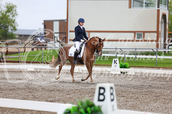 2025 - Dressage Festival - Sunday July 6th - 07624
