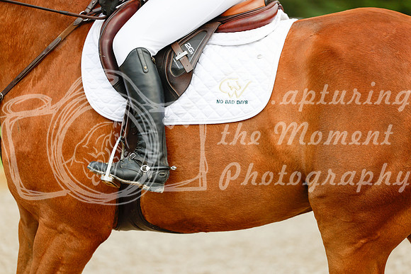 2025 - Haylee - Picco Horse Show - Saturday July 26th 09195
