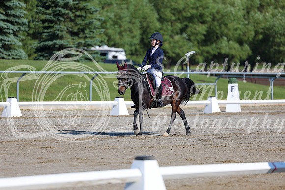 2025 - Dressage Festival - Saturday July 5th - 00662