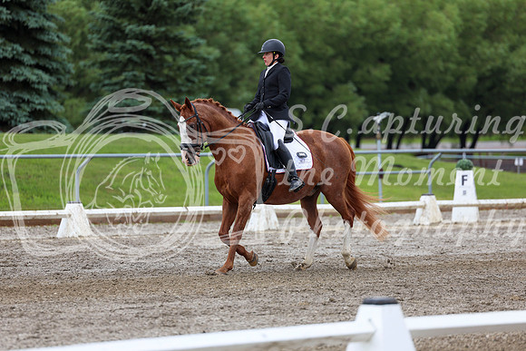 2025 - Dressage Festival - Sunday July 6th - 10393