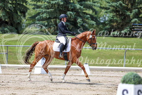 2025 - Dressage Festival - Saturday July 5th - 07877