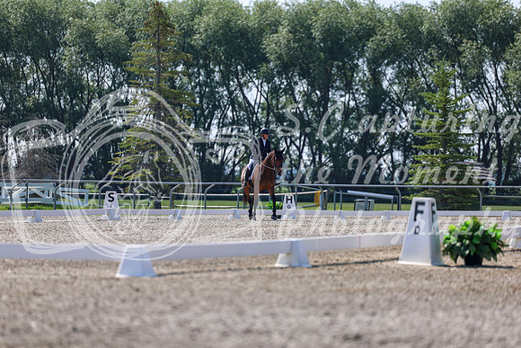 2025 - Dressage Festival - Saturday July 5th - 02361