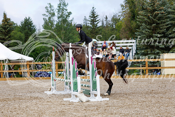 2025 - Haylee - Picco Horse Show - Sunday July 27th 02084