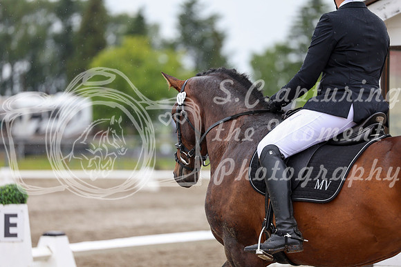 2025 - Dressage Festival - Sunday July 6th - 09014