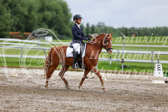 2025 - Dressage Festival - Sunday July 6th - 12214