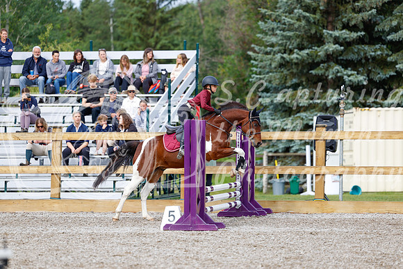 2025 - Haylee - Picco Horse Show - Friay July 25th 00581