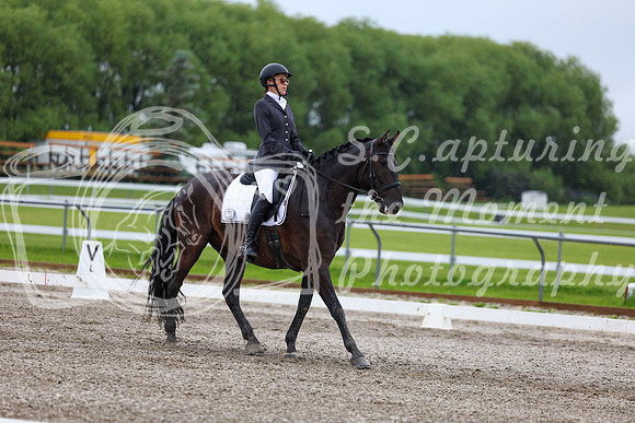 2025 - Dressage Festival - Sunday July 6th - 04535