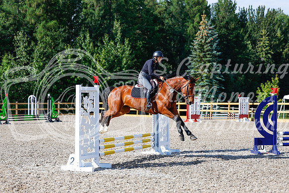 2025 - Haylee - Picco Horse Show - Thursday July 24th 00867