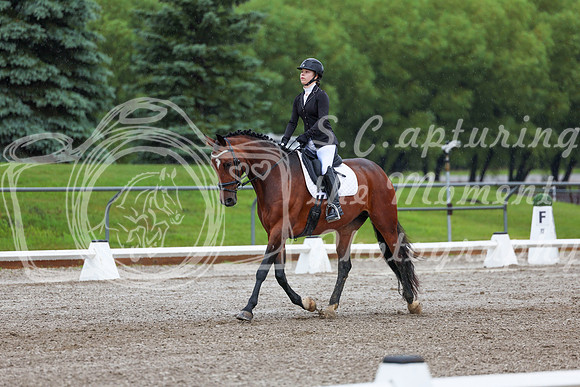 2025 - Dressage Festival - Sunday July 6th - 00830