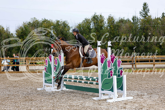 2025 - Haylee - Picco Horse Show - Friay July 25th 01391