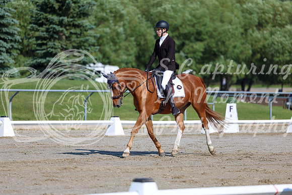 2025 - Dressage Festival - Saturday July 5th - 01654