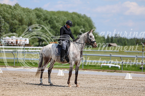 2025 - Dressage Festival - Saturday July 5th - 09014