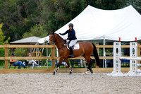2025 - Haylee - Picco Horse Show - Saturday July 26th 05515
