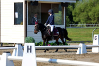 2025 - Dressage Festival - Saturday July 5th - 00645