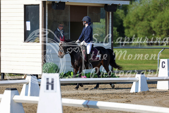2025 - Dressage Festival - Saturday July 5th - 00645