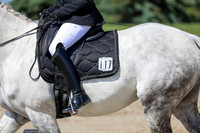 2025 - Dressage Festival - Saturday July 5th - 04739