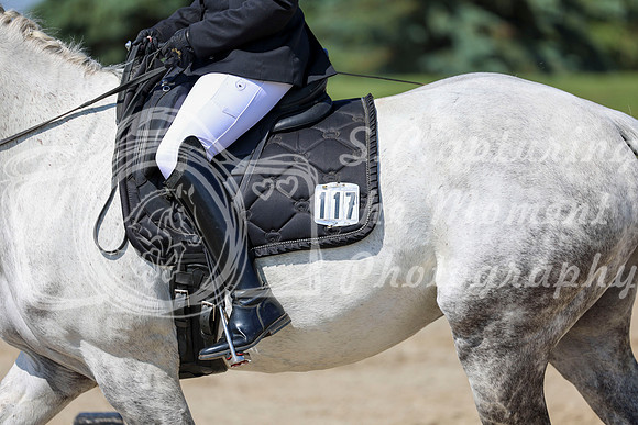 2025 - Dressage Festival - Saturday July 5th - 04739