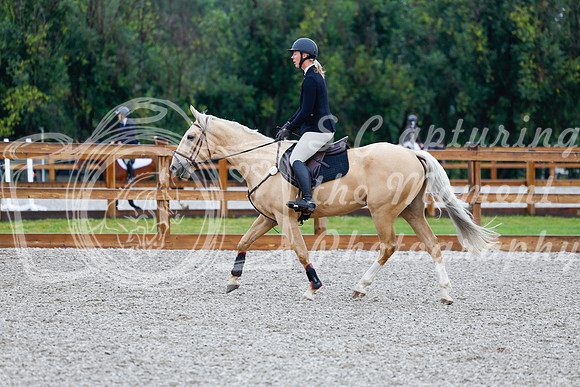 2025 - Haylee - Picco Horse Show - Sunday July 27th 00450