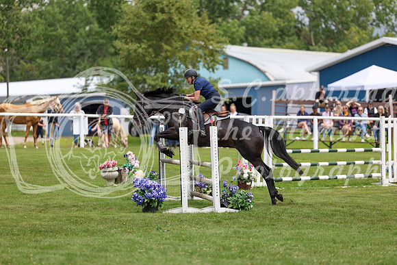 2025 - Shea - Teesdale - Friday July 25th - 07334