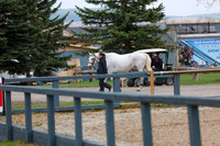 2025 - Shea - Bow Valley II - Friday May 16th - 00001