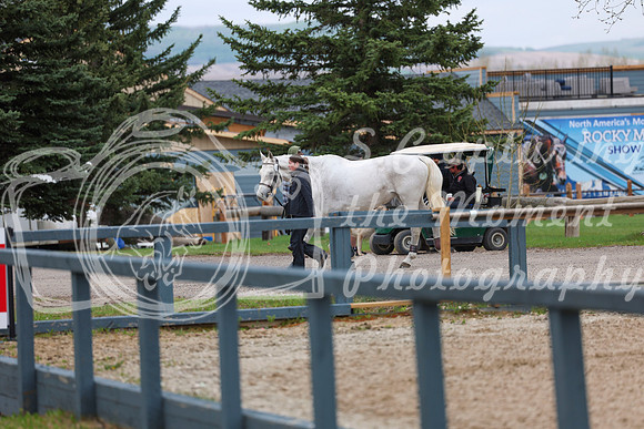 2025 - Shea - Bow Valley II - Friday May 16th - 00001