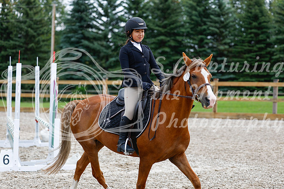 2025 - Haylee - Picco Horse Show - Saturday July 26th 02319