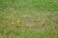 2025 - Julia - Blue Sky Classic - Saturday, May 17th 26320