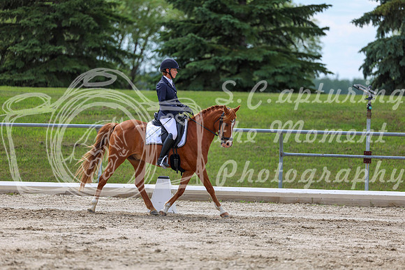 2025 - Dressage Festival - Saturday July 5th - 13808
